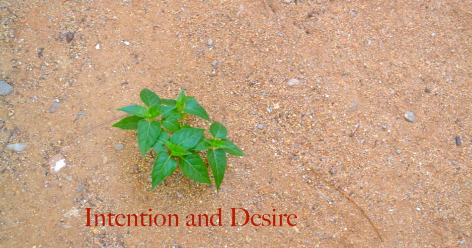 Law of Intention and Desire