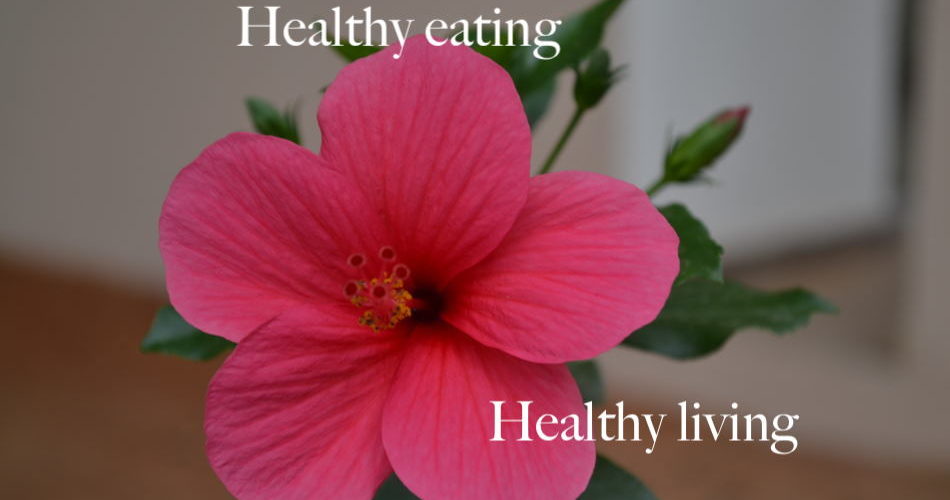 Healthy eating and healthy living