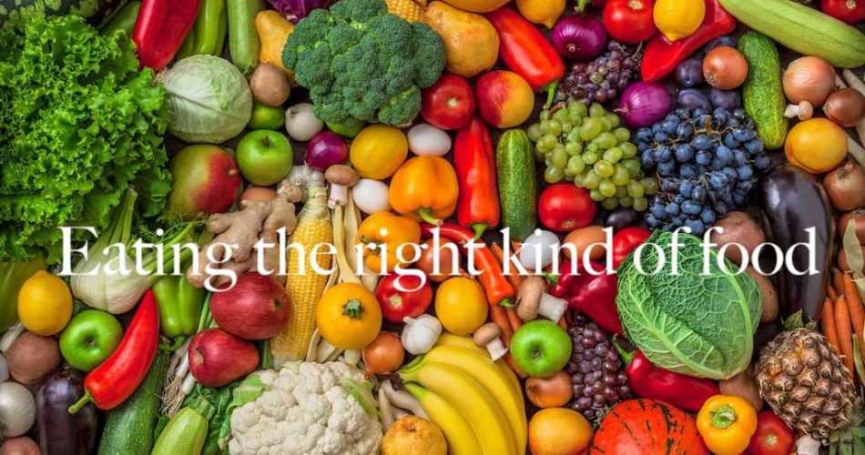 Eating the right kind of food - You become what you eat - TrueGeek