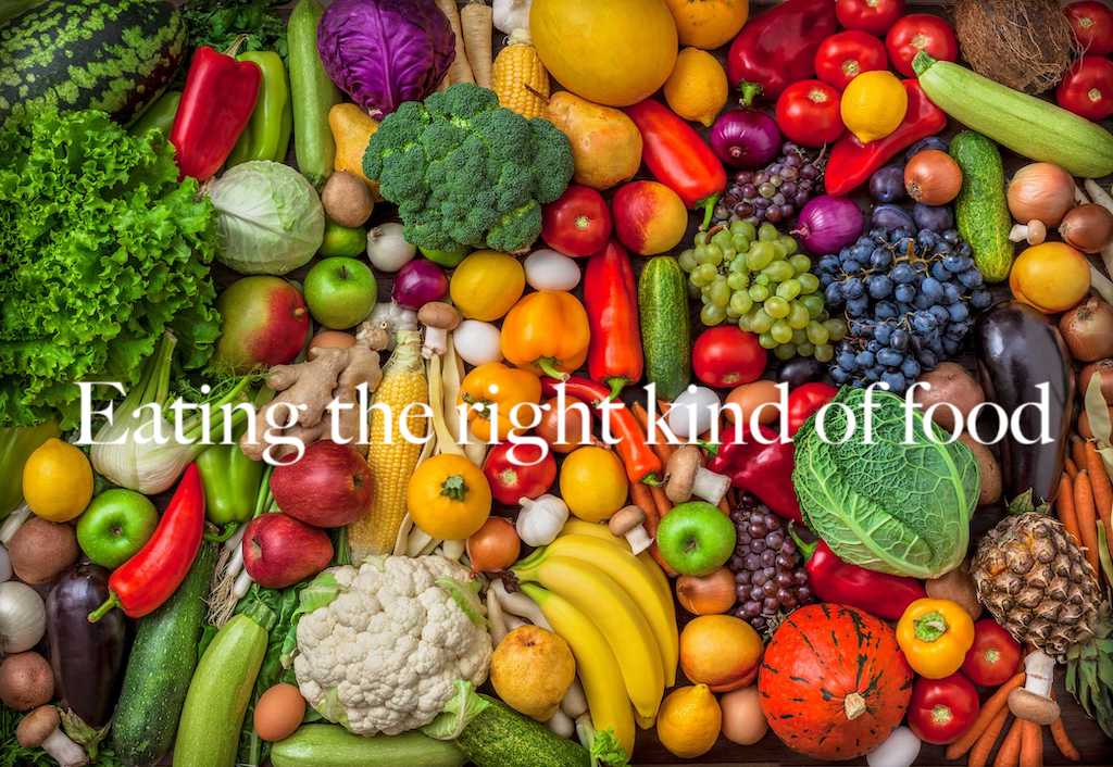 Eating the right kind of food - You become what you eat - TrueGeek