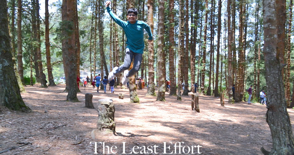 Law of Least Effort