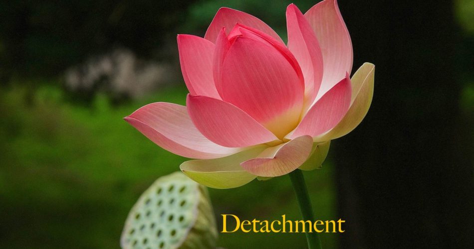 The law of Detachment
